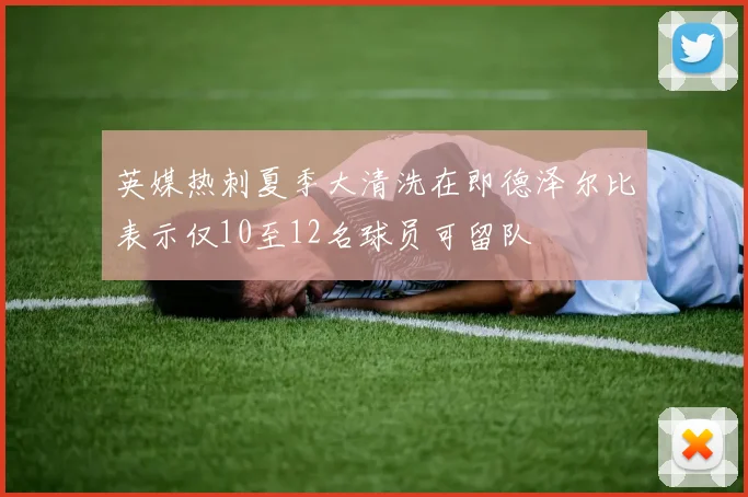 英媒热刺夏季大清洗在即德泽尔比表示仅10至12名球员可留队